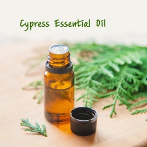 사이프러스에센셜오일(cypress essential oil)