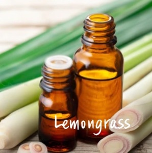 레몬그라스 에센셜오일(Lemongrass Essential Oil)