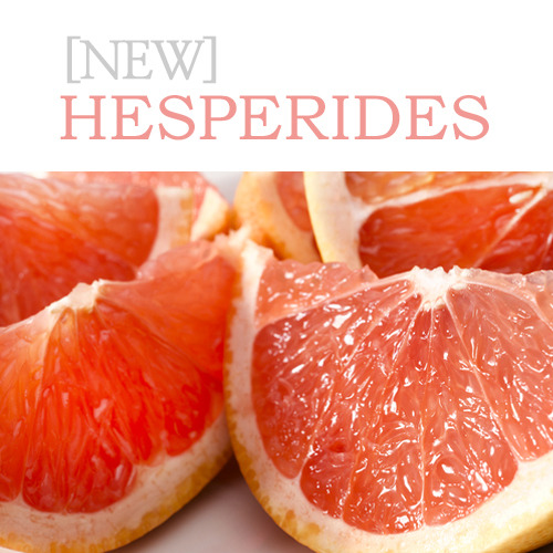 [미국향]헤스페리데스 Hesperides-자몽향(fresh Type)