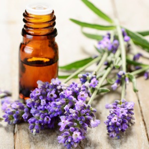라벤더프렌치에센셜오일(Lavender French Essential Oil)