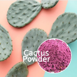 백년초분말-Cactus Powder