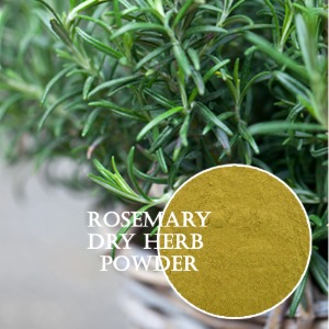 로즈마리분말(Dry Rosemary Powder)