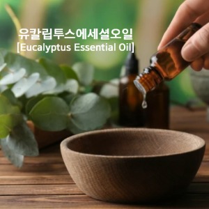 유칼립투스에센셜오일(Eucalyptus Essential Oil)
