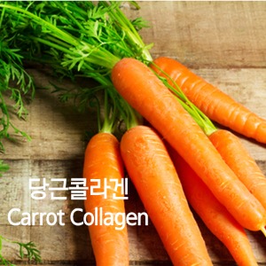 당근콜라겐(Carrot Collagen)