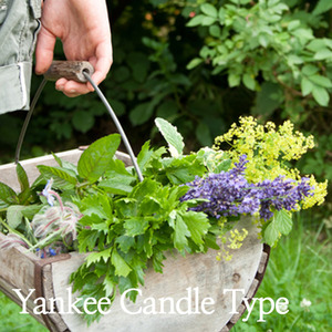 (영국CPL향)가든스윗피(Yankee Candle Type)
