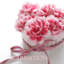 (영국CPL향)카네이션향(carnation)